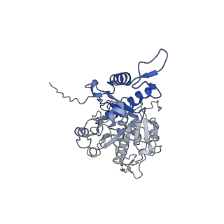 29353_8fop_f_v1-1
Structure of Agrobacterium tumefaciens bacteriophage Milano curved tail