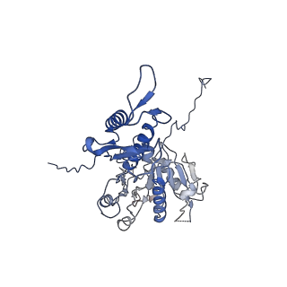 29353_8fop_g_v1-0
Structure of Agrobacterium tumefaciens bacteriophage Milano curved tail