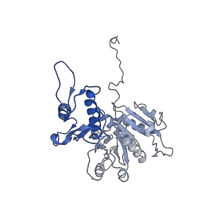 29353_8fop_i_v1-0
Structure of Agrobacterium tumefaciens bacteriophage Milano curved tail