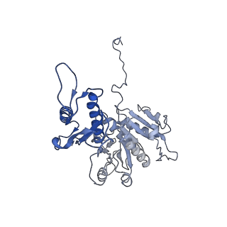 29353_8fop_i_v1-1
Structure of Agrobacterium tumefaciens bacteriophage Milano curved tail