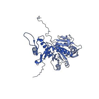 29353_8fop_j_v1-0
Structure of Agrobacterium tumefaciens bacteriophage Milano curved tail