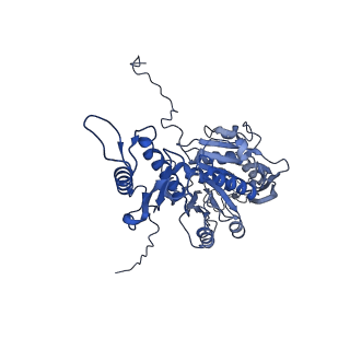 29353_8fop_j_v1-1
Structure of Agrobacterium tumefaciens bacteriophage Milano curved tail