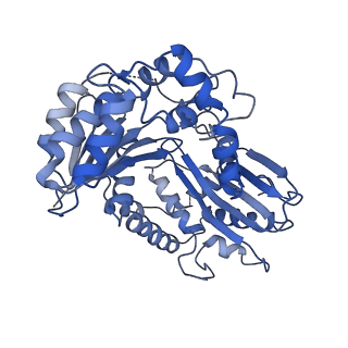 4286_6fo0_B_v1-3
CryoEM structure of bovine cytochrome bc1 in complex with the anti-malarial compound GSK932121