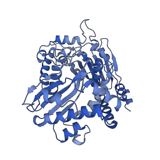 4286_6fo0_N_v1-3
CryoEM structure of bovine cytochrome bc1 in complex with the anti-malarial compound GSK932121