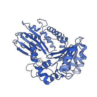 4286_6fo0_O_v1-3
CryoEM structure of bovine cytochrome bc1 in complex with the anti-malarial compound GSK932121