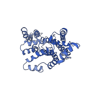4286_6fo0_P_v1-3
CryoEM structure of bovine cytochrome bc1 in complex with the anti-malarial compound GSK932121