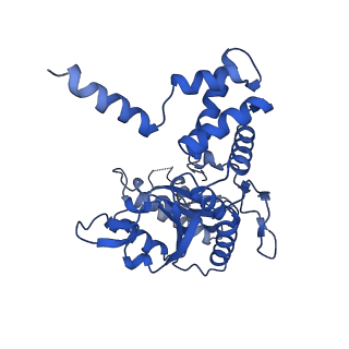 4287_6fo1_A_v1-4
Human R2TP subcomplex containing 1 RUVBL1-RUVBL2 hexamer bound to 1 RBD domain from RPAP3.