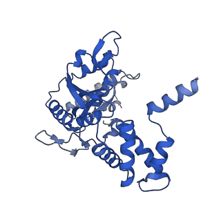 4287_6fo1_B_v1-4
Human R2TP subcomplex containing 1 RUVBL1-RUVBL2 hexamer bound to 1 RBD domain from RPAP3.