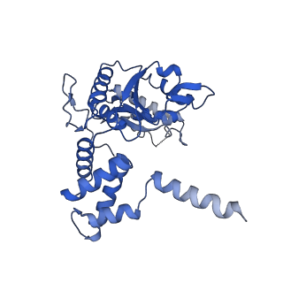 4287_6fo1_E_v1-4
Human R2TP subcomplex containing 1 RUVBL1-RUVBL2 hexamer bound to 1 RBD domain from RPAP3.