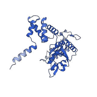 4287_6fo1_F_v1-4
Human R2TP subcomplex containing 1 RUVBL1-RUVBL2 hexamer bound to 1 RBD domain from RPAP3.