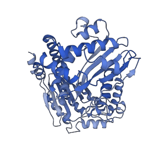 4288_6fo2_A_v1-3
CryoEM structure of bovine cytochrome bc1 with no ligand bound