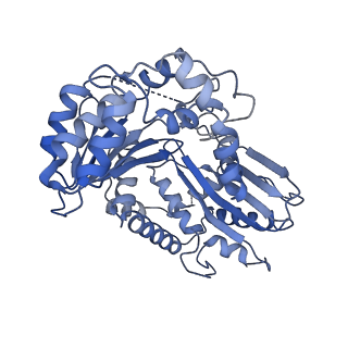 4288_6fo2_B_v1-3
CryoEM structure of bovine cytochrome bc1 with no ligand bound