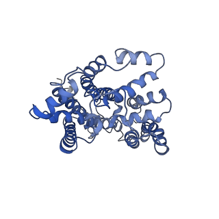 4288_6fo2_C_v1-3
CryoEM structure of bovine cytochrome bc1 with no ligand bound