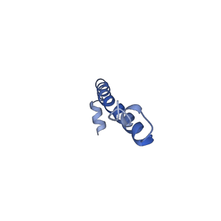4288_6fo2_J_v1-3
CryoEM structure of bovine cytochrome bc1 with no ligand bound
