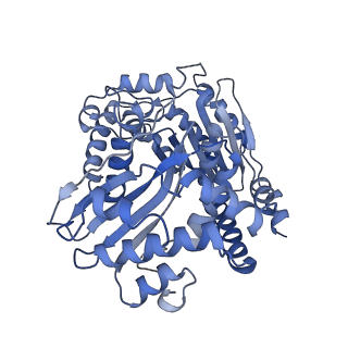 4288_6fo2_N_v1-3
CryoEM structure of bovine cytochrome bc1 with no ligand bound