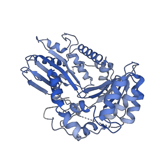 4288_6fo2_O_v1-3
CryoEM structure of bovine cytochrome bc1 with no ligand bound