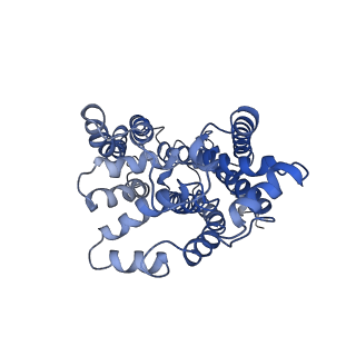 4288_6fo2_P_v1-3
CryoEM structure of bovine cytochrome bc1 with no ligand bound