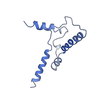 4288_6fo2_S_v1-3
CryoEM structure of bovine cytochrome bc1 with no ligand bound