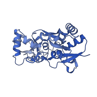 29361_8fpc_A_v1-2
Conformation 1 of the ligand binding domain (LBDconf1) of GluA2 flip Q isoform of AMPA receptor in complex with gain-of-function TARP gamma-2, with 10mM CaCl2, 150mM NaCl, 1mM MgCl2, 330uM CTZ, and 100mM glutamate (Open-CaNaMg)