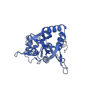 29361_8fpc_B_v1-2
Conformation 1 of the ligand binding domain (LBDconf1) of GluA2 flip Q isoform of AMPA receptor in complex with gain-of-function TARP gamma-2, with 10mM CaCl2, 150mM NaCl, 1mM MgCl2, 330uM CTZ, and 100mM glutamate (Open-CaNaMg)