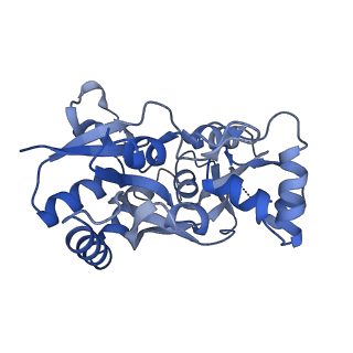 29361_8fpc_C_v1-2
Conformation 1 of the ligand binding domain (LBDconf1) of GluA2 flip Q isoform of AMPA receptor in complex with gain-of-function TARP gamma-2, with 10mM CaCl2, 150mM NaCl, 1mM MgCl2, 330uM CTZ, and 100mM glutamate (Open-CaNaMg)