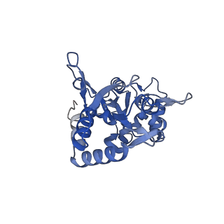 29361_8fpc_D_v1-2
Conformation 1 of the ligand binding domain (LBDconf1) of GluA2 flip Q isoform of AMPA receptor in complex with gain-of-function TARP gamma-2, with 10mM CaCl2, 150mM NaCl, 1mM MgCl2, 330uM CTZ, and 100mM glutamate (Open-CaNaMg)