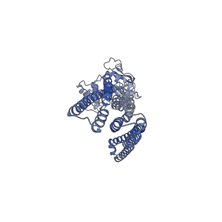 29362_8fpf_C_v1-0
Heterodimeric ABC transporter BmrCD in the inward-facing conformation bound to ATP: BmrCD_IF-ATP