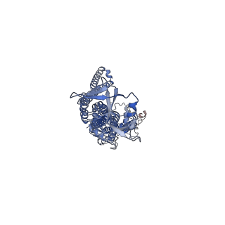 29362_8fpf_D_v1-0
Heterodimeric ABC transporter BmrCD in the inward-facing conformation bound to ATP: BmrCD_IF-ATP