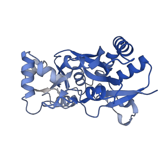 29364_8fph_A_v1-2
Conformation 2 of the ligand binding domain (LBDconf2) of GluA2 flip Q isoform of AMPA receptor in complex with gain-of-function TARP gamma-2, with 10mM CaCl2, 150mM NaCl, 1mM MgCl2, 330uM CTZ, and 100mM glutamate (Open-CaNaMg)