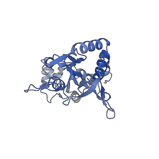 29364_8fph_B_v1-2
Conformation 2 of the ligand binding domain (LBDconf2) of GluA2 flip Q isoform of AMPA receptor in complex with gain-of-function TARP gamma-2, with 10mM CaCl2, 150mM NaCl, 1mM MgCl2, 330uM CTZ, and 100mM glutamate (Open-CaNaMg)