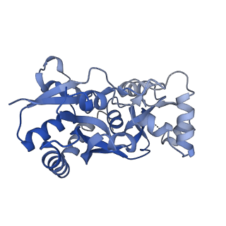 29364_8fph_C_v1-2
Conformation 2 of the ligand binding domain (LBDconf2) of GluA2 flip Q isoform of AMPA receptor in complex with gain-of-function TARP gamma-2, with 10mM CaCl2, 150mM NaCl, 1mM MgCl2, 330uM CTZ, and 100mM glutamate (Open-CaNaMg)