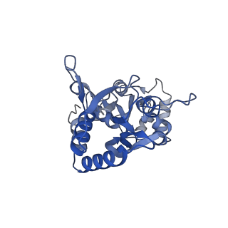 29364_8fph_D_v1-2
Conformation 2 of the ligand binding domain (LBDconf2) of GluA2 flip Q isoform of AMPA receptor in complex with gain-of-function TARP gamma-2, with 10mM CaCl2, 150mM NaCl, 1mM MgCl2, 330uM CTZ, and 100mM glutamate (Open-CaNaMg)