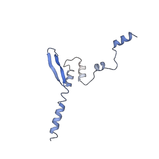 29365_8fpi_B_v1-1
Co-structure of the Respiratory Syncytial Virus RNA-dependent RNA polymerase with MRK-1
