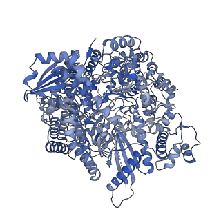29366_8fpj_A_v1-1
Co-structure of the Human Metapneunomovirus RNA-dependent RNA polymerase with MRK-1