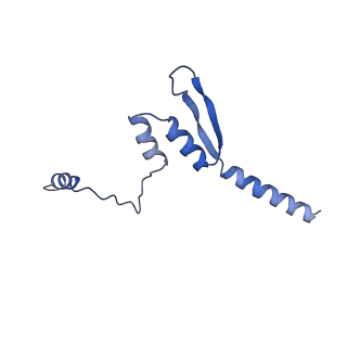 29366_8fpj_B_v1-1
Co-structure of the Human Metapneunomovirus RNA-dependent RNA polymerase with MRK-1