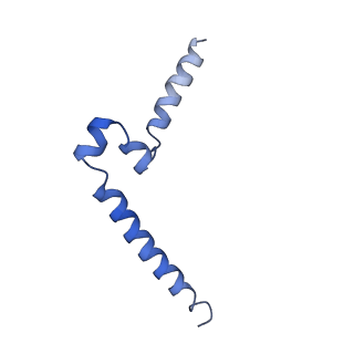 29366_8fpj_C_v1-1
Co-structure of the Human Metapneunomovirus RNA-dependent RNA polymerase with MRK-1