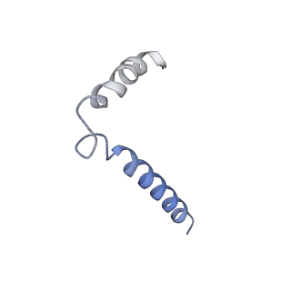29366_8fpj_D_v1-1
Co-structure of the Human Metapneunomovirus RNA-dependent RNA polymerase with MRK-1