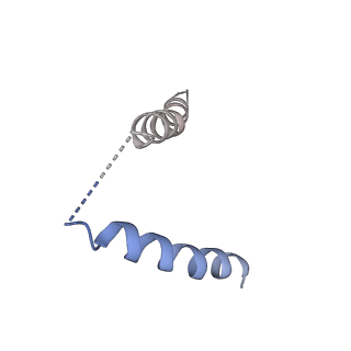 29366_8fpj_E_v1-1
Co-structure of the Human Metapneunomovirus RNA-dependent RNA polymerase with MRK-1