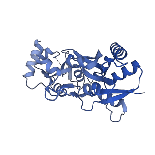 29367_8fpk_A_v1-2
LBD conformation 1 of GluA2 flip Q isoform of AMPA receptor in complex with gain-of-function TARP gamma-2, with 10mM CaCl2, 150mM NaCl, 1mM MgCl2, 330uM CTZ, and 100uM CNQX (Closed-CaNaMg)