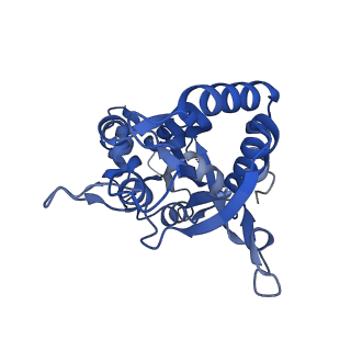 29367_8fpk_B_v1-2
LBD conformation 1 of GluA2 flip Q isoform of AMPA receptor in complex with gain-of-function TARP gamma-2, with 10mM CaCl2, 150mM NaCl, 1mM MgCl2, 330uM CTZ, and 100uM CNQX (Closed-CaNaMg)