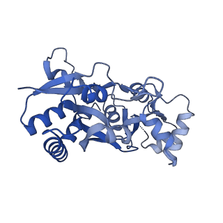 29367_8fpk_C_v1-2
LBD conformation 1 of GluA2 flip Q isoform of AMPA receptor in complex with gain-of-function TARP gamma-2, with 10mM CaCl2, 150mM NaCl, 1mM MgCl2, 330uM CTZ, and 100uM CNQX (Closed-CaNaMg)