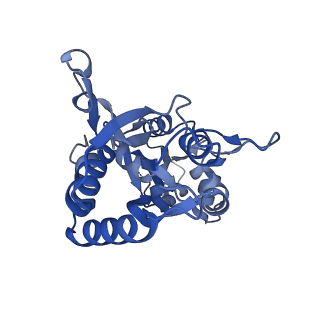 29367_8fpk_D_v1-2
LBD conformation 1 of GluA2 flip Q isoform of AMPA receptor in complex with gain-of-function TARP gamma-2, with 10mM CaCl2, 150mM NaCl, 1mM MgCl2, 330uM CTZ, and 100uM CNQX (Closed-CaNaMg)