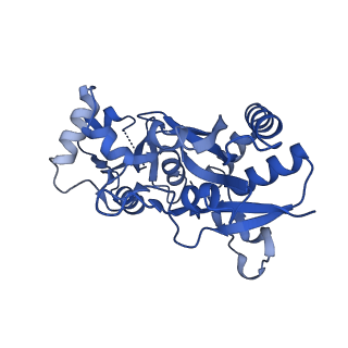 29368_8fpl_A_v1-2
LBD conformation 2 (LBDconf2) of GluA2 flip Q isoform of AMPA receptor in complex with gain-of-function TARP gamma-2, with 10mM CaCl2, 150mM NaCl, 1mM MgCl2, 330uM CTZ, and 100uM CNQX (Closed-CaNaMg)