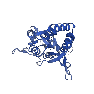 29368_8fpl_B_v1-2
LBD conformation 2 (LBDconf2) of GluA2 flip Q isoform of AMPA receptor in complex with gain-of-function TARP gamma-2, with 10mM CaCl2, 150mM NaCl, 1mM MgCl2, 330uM CTZ, and 100uM CNQX (Closed-CaNaMg)