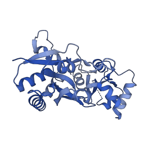 29368_8fpl_C_v1-2
LBD conformation 2 (LBDconf2) of GluA2 flip Q isoform of AMPA receptor in complex with gain-of-function TARP gamma-2, with 10mM CaCl2, 150mM NaCl, 1mM MgCl2, 330uM CTZ, and 100uM CNQX (Closed-CaNaMg)