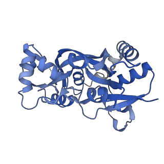 29370_8fpv_A_v1-1
LBD conformation 1 (LBDconf1) of GluA2 flip Q isoform of AMPA receptor in complex with gain-of-function TARP gamma-2, with 500mM NaCl, 330uM CTZ, and 100mM glutamate (Open-Na610)