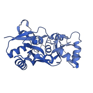 29370_8fpv_C_v1-1
LBD conformation 1 (LBDconf1) of GluA2 flip Q isoform of AMPA receptor in complex with gain-of-function TARP gamma-2, with 500mM NaCl, 330uM CTZ, and 100mM glutamate (Open-Na610)