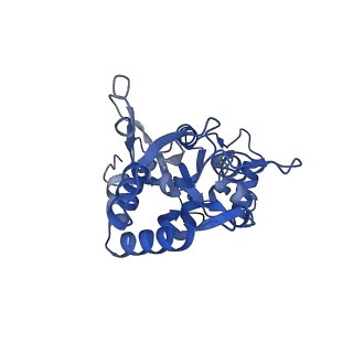 29370_8fpv_D_v1-1
LBD conformation 1 (LBDconf1) of GluA2 flip Q isoform of AMPA receptor in complex with gain-of-function TARP gamma-2, with 500mM NaCl, 330uM CTZ, and 100mM glutamate (Open-Na610)
