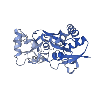 29371_8fpy_A_v1-1
LBD conformation 2 (LBDconf2) of GluA2 flip Q isoform of AMPA receptor in complex with gain-of-function TARP gamma-2, with 500mM NaCl, 330uM CTZ, and 100mM glutamate (Open-Na610)