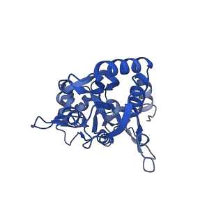 29371_8fpy_B_v1-1
LBD conformation 2 (LBDconf2) of GluA2 flip Q isoform of AMPA receptor in complex with gain-of-function TARP gamma-2, with 500mM NaCl, 330uM CTZ, and 100mM glutamate (Open-Na610)